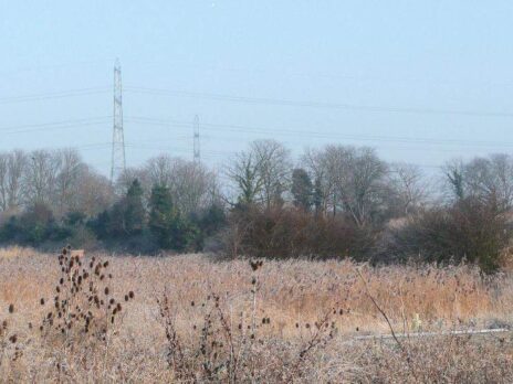 No, there are not 460,000 homes planned for England’s green belts. If only there were
