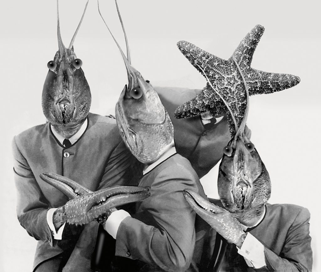 How art schools created British pop music