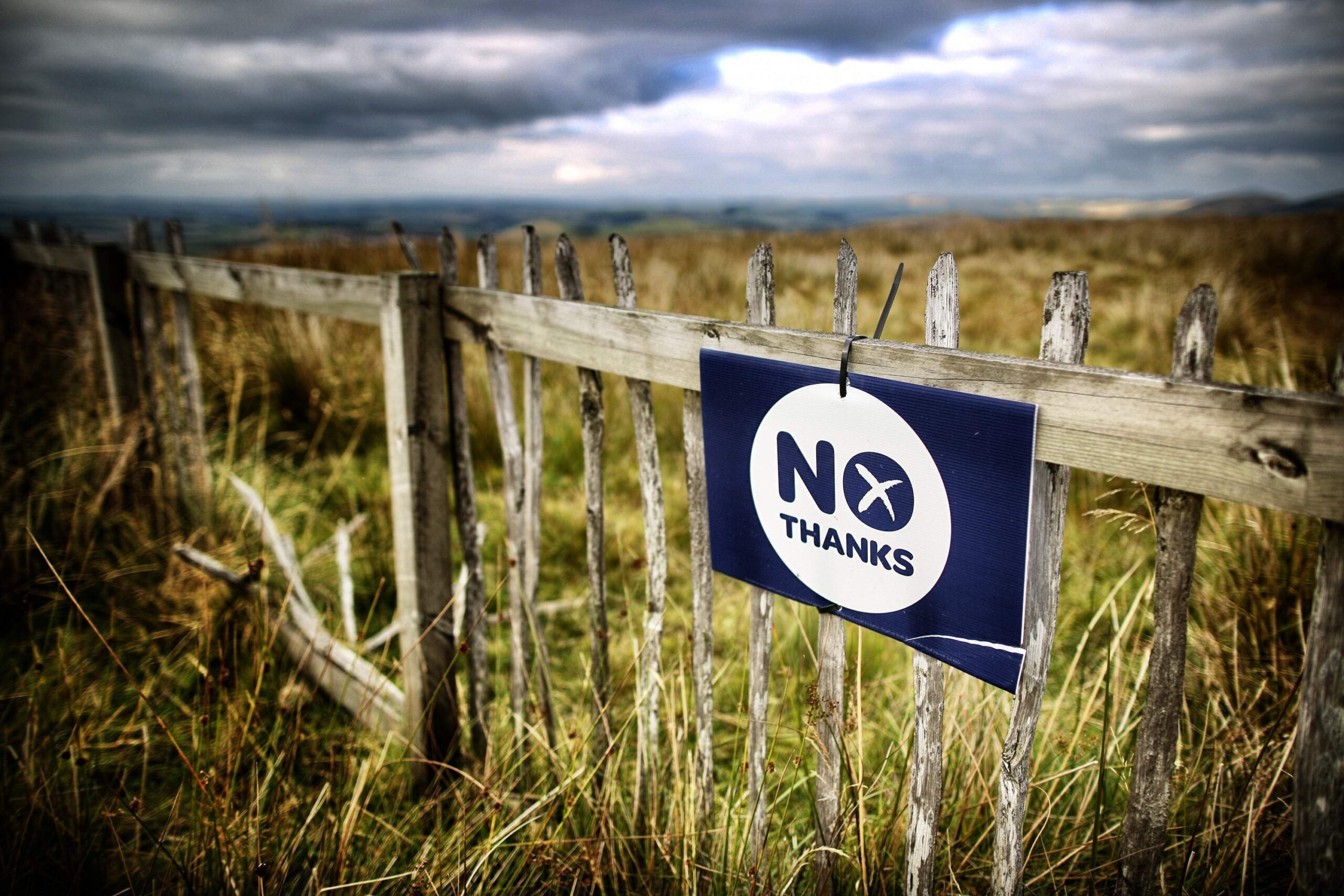 Peter Wilby: I am more confident than ever that the Nos will have it