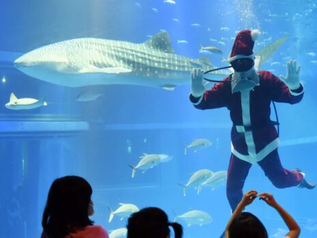 Merry Christmas to all our readers (and some nerdy news and stats about this website)