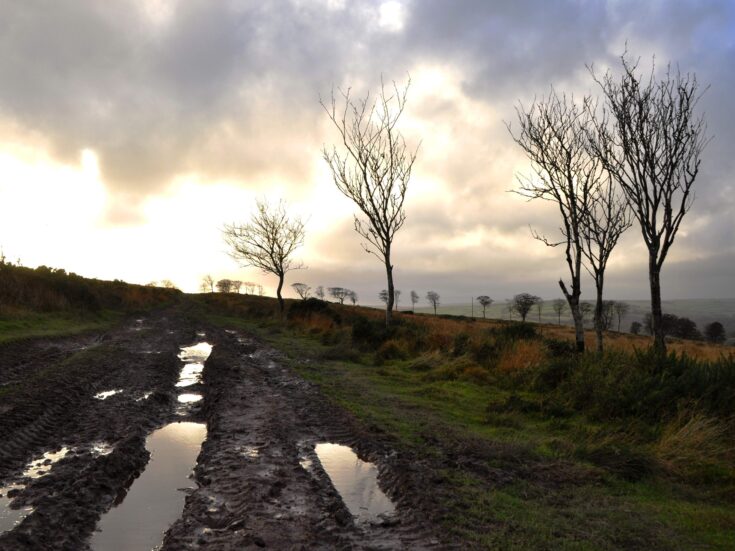 Crumbling Britain: how austerity is hollowing out the heart of Tory Somerset