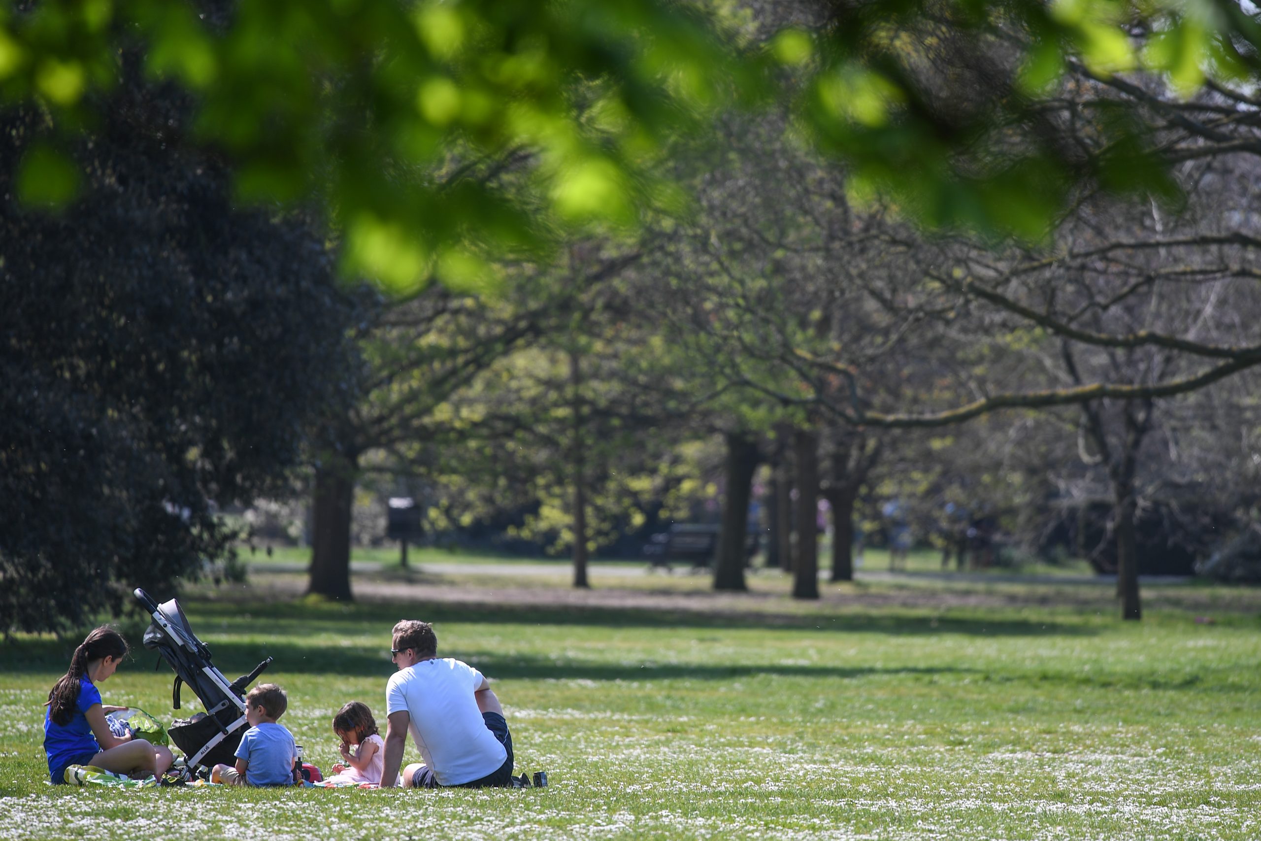 Why people need parks