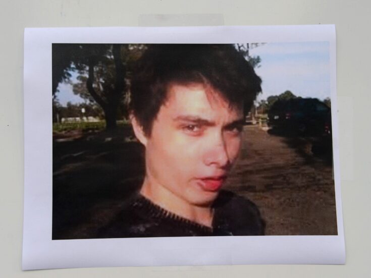 We must try to understand how unwanted virginity leads self-hating incels to murder