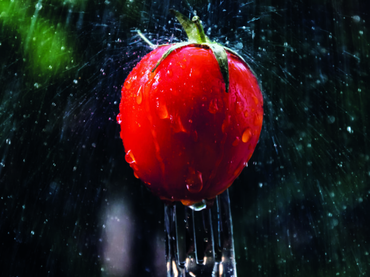 Don’t waste valuable water on your lawn – you’ll only regret it when your vegetables bolt