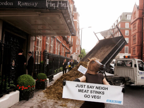 As a vegetarian, the new PETA campaign makes me want to force a mole through a shredder