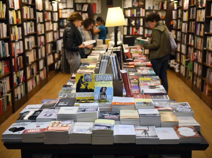 The slow death of the literary novel: the sales crisis afflicting fiction