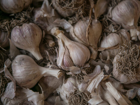 Why a bulb of garlic spells trouble for the United Kingdom’s trade policy
