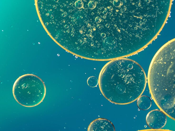 Cells