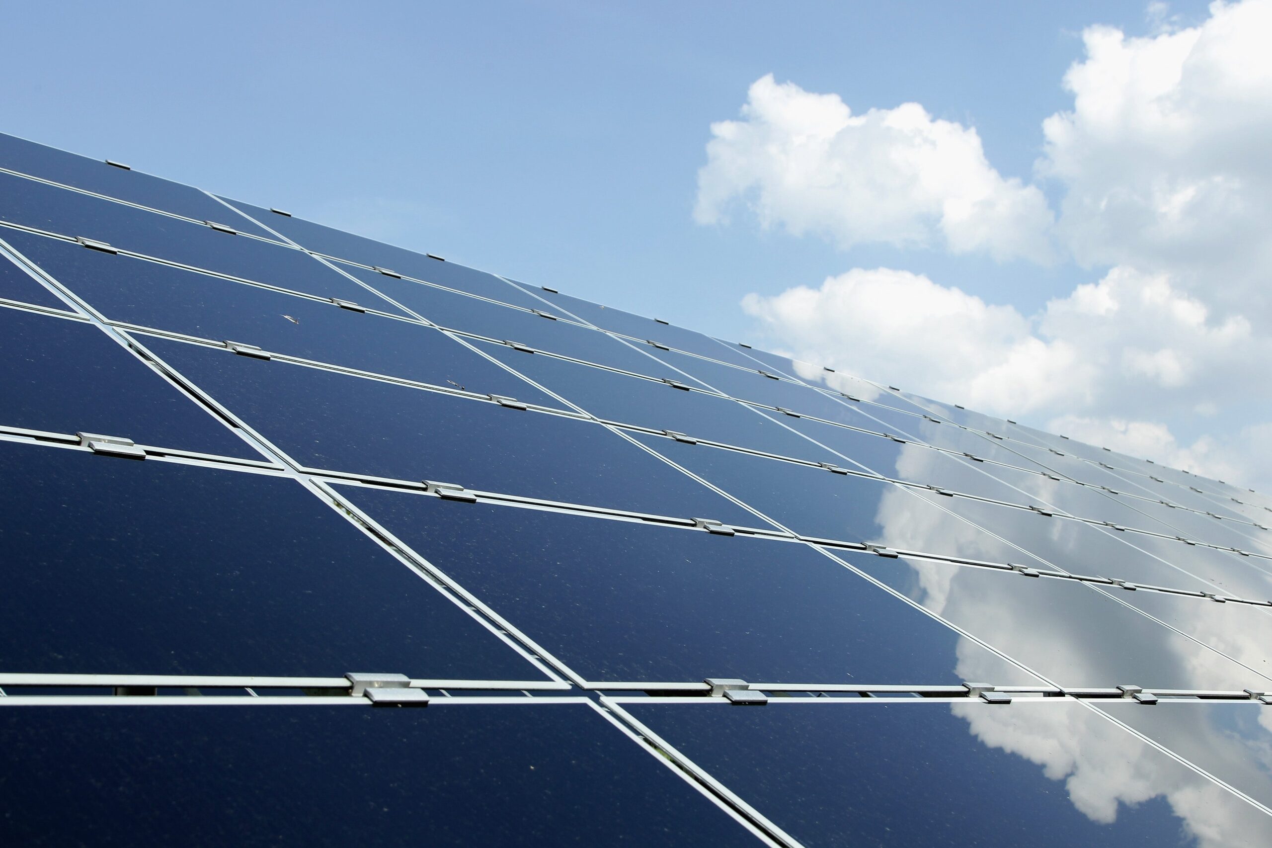 Businesses aren’t buying the myth of an unaffordable net zero