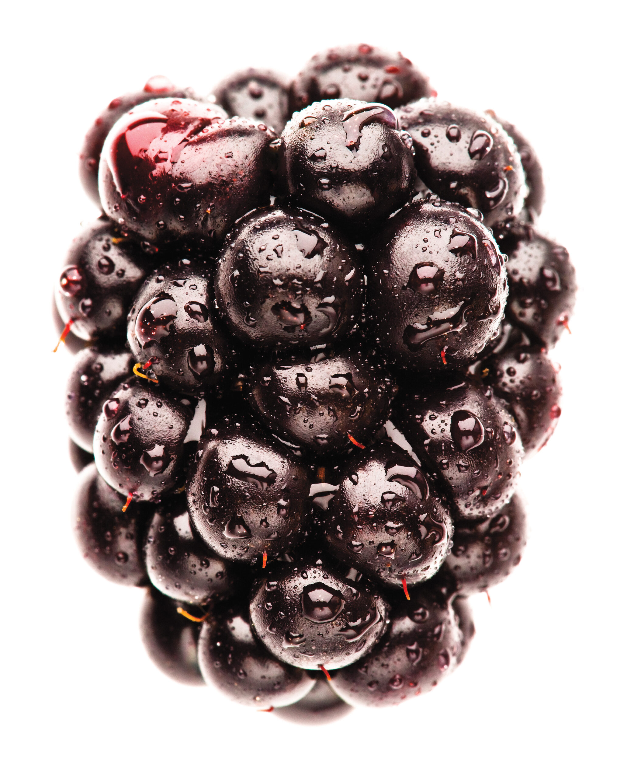 Personal story: How to eat the hedgerow
