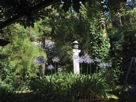 We have a cavernous gap beneath an old yew tree that is crying out for a sculpture