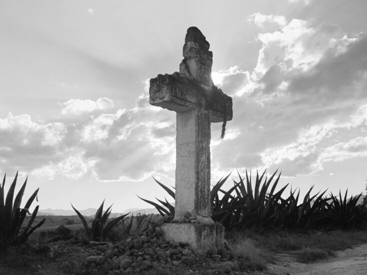 Fernanda Melchor’s Hurricane Season: a dyspeptic vision of Mexico today