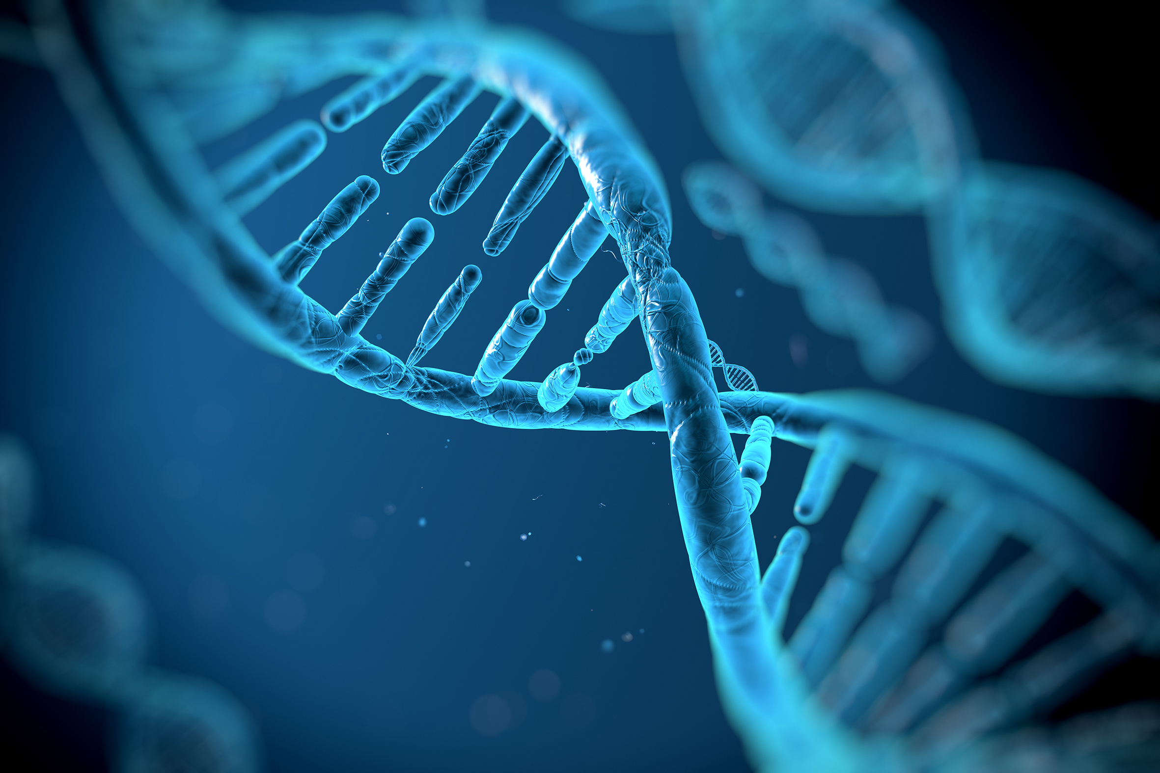 The Anatomy of a Good Company: ASML