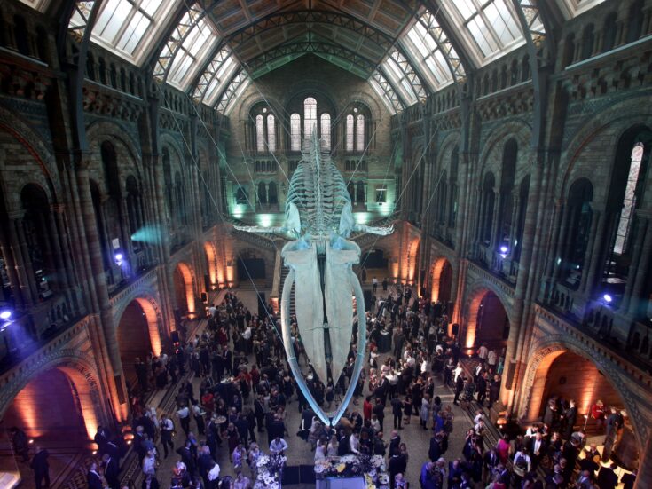 Why Amazon UK’s head is a fitting choice to lead the Natural History Museum
