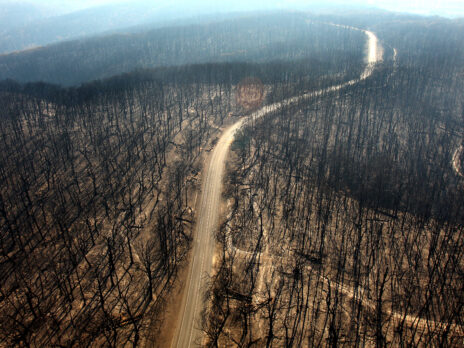Businesses are realising the huge cost of nature loss