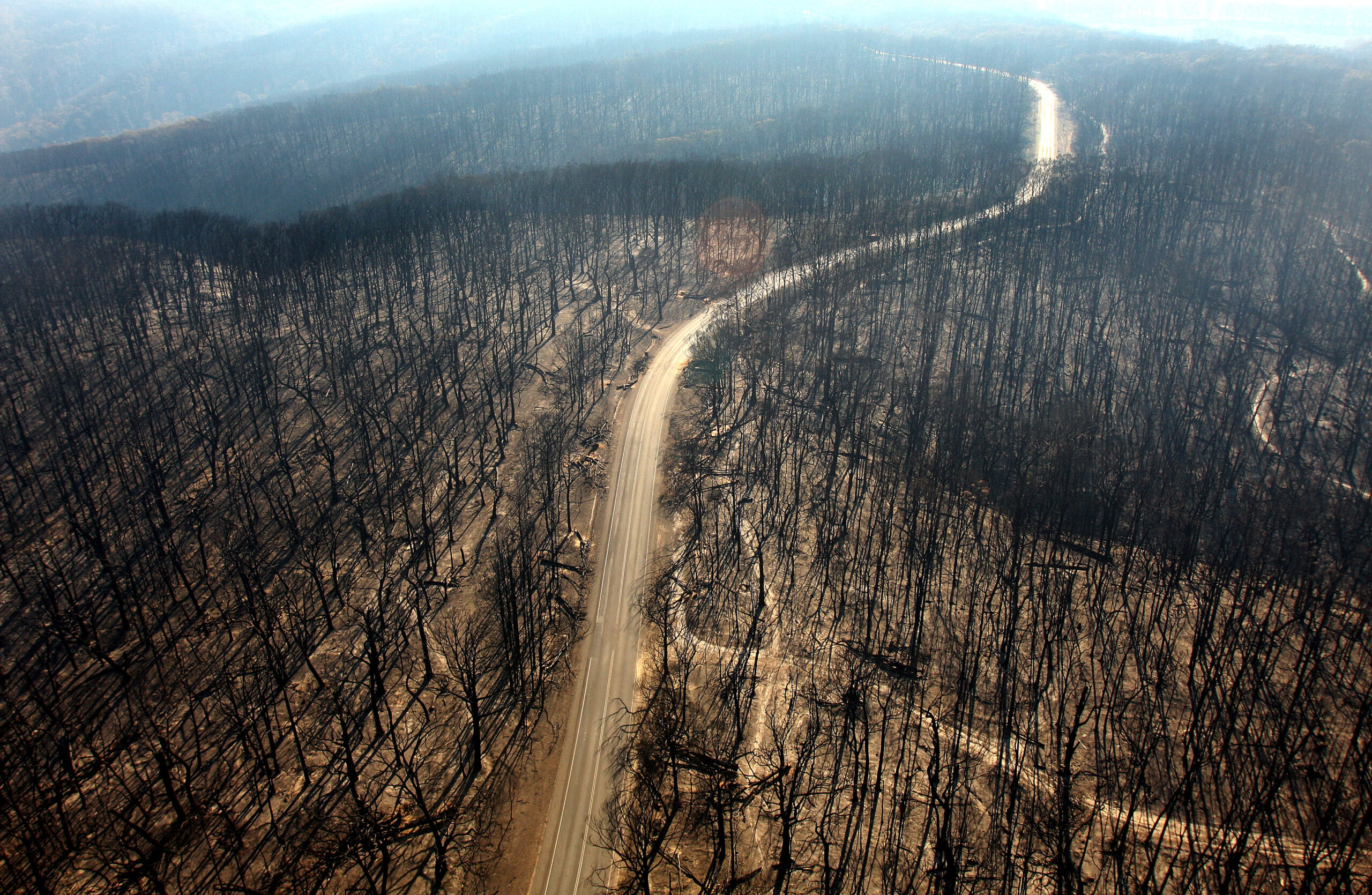 Businesses are realising the huge cost of nature loss