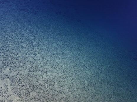Why deep-sea mining is risky for everyone