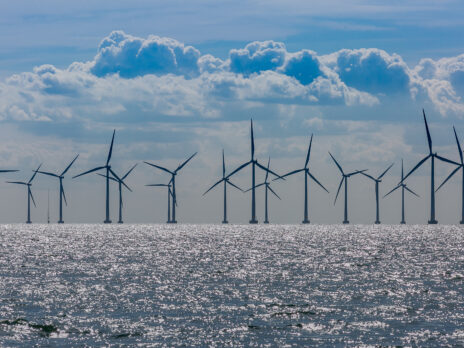 How the oceans can save the world