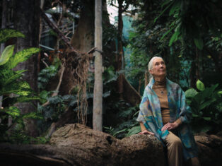 Jane Goodall’s lucid optimism
