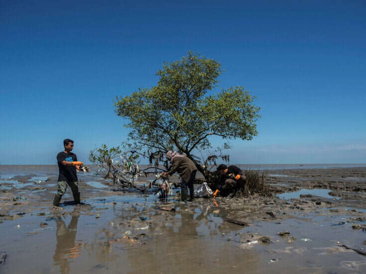 Why success at Cop26 is also vital to stem biodiversity loss