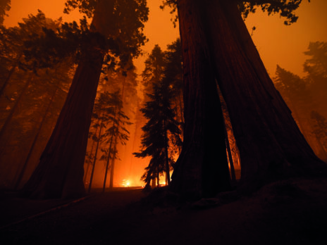 Our future climate depends on our decisions now