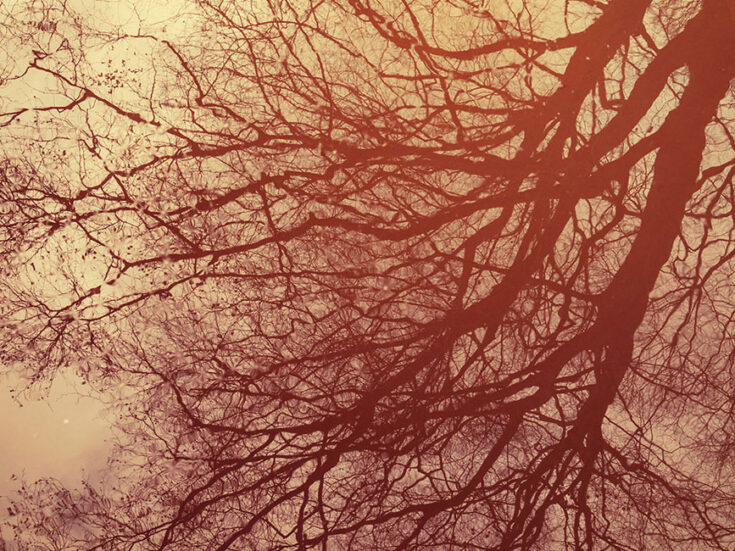 In the wake of a locked-down year, the seasons feel out of kilter