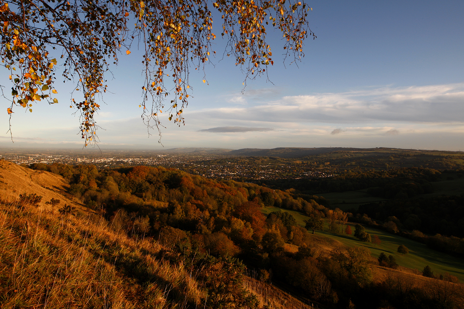 Why rewilding isn’t just for toffs