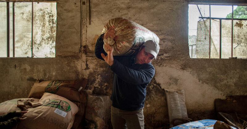 War in Ukraine threatens to create a global food crisis - New Statesman