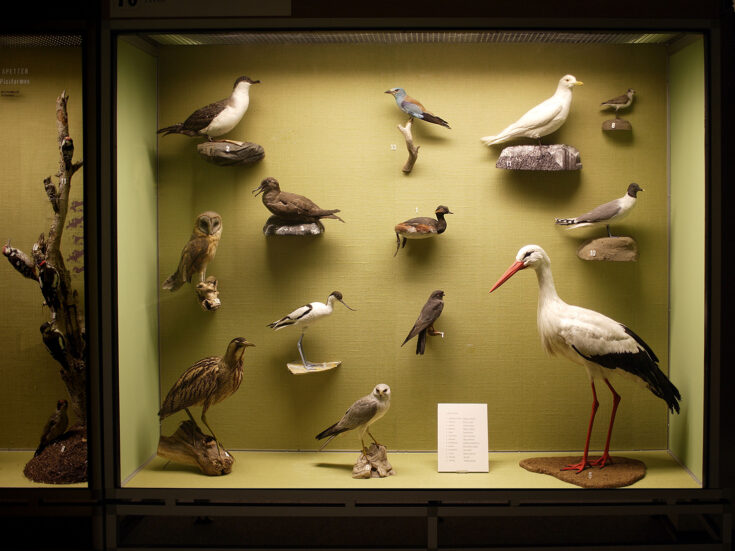 Neil MacGregor’s modern museums