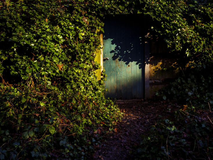 How the front door became a British status symbol