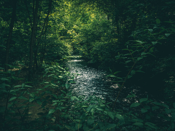 In northern Italy, the sound of the swirling river suffuses even my hotel room