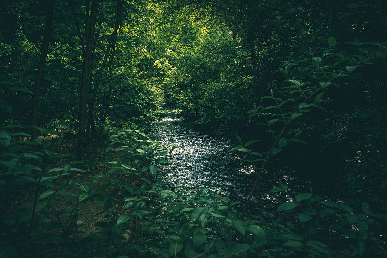 In northern Italy, the sound of the swirling river suffuses even my hotel room