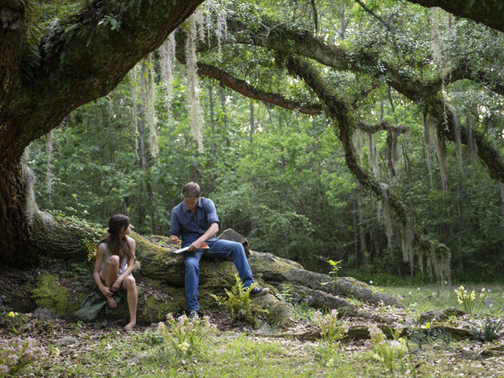 Where the Crawdads Sing is a lesson in how not to adapt a bestselling novel
