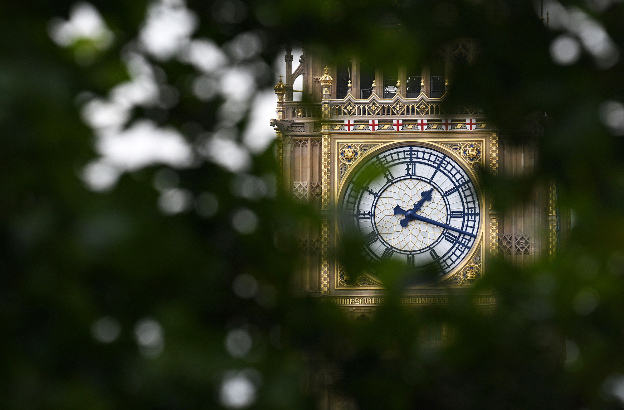 Who are the mystery Conservative members taking back control?
