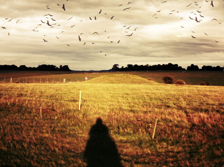 The NS Poem: Country Icon (a riddle)