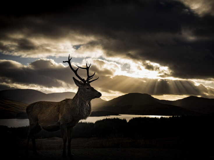 Nostalgia reveals nature’s true value