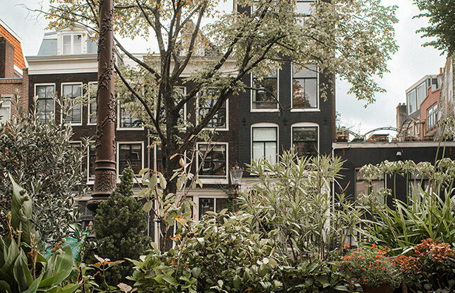 Amsterdam's city gardens are a potted paradise - New Statesman