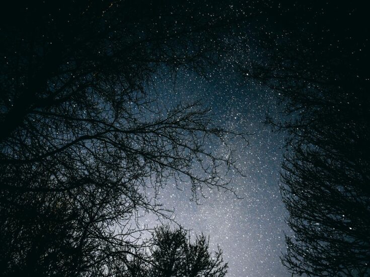 The NS Poem: The Late Stelliferous Era