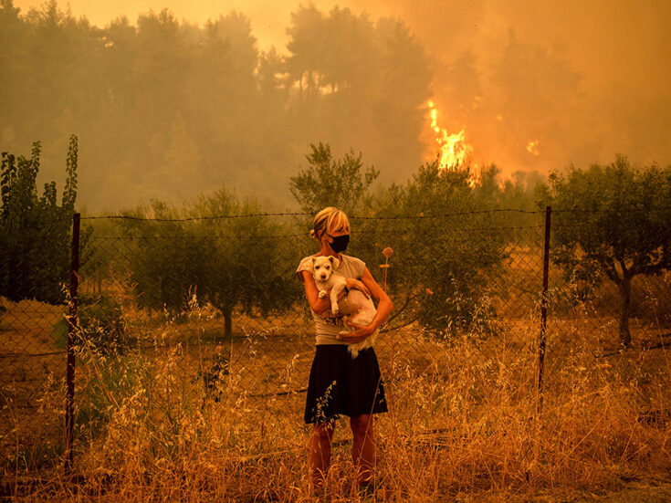 The curse of climate brain