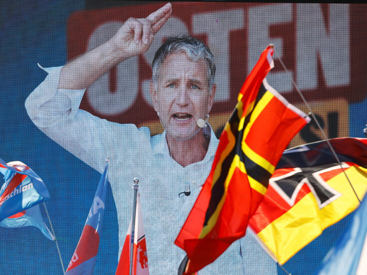 How the far right mobilised the new Germany