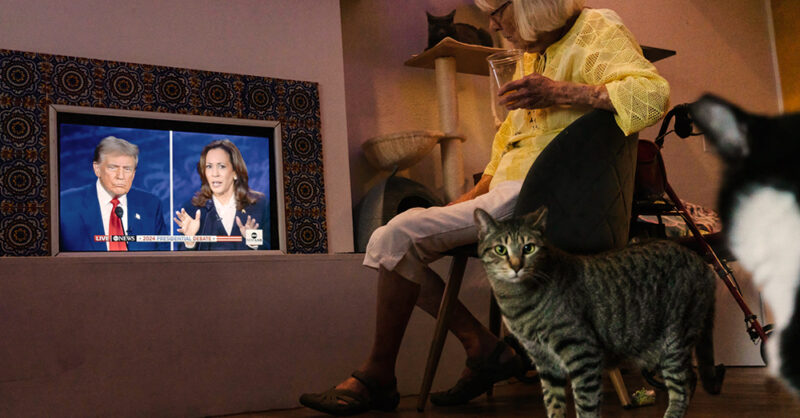 The tangled political history of childless cat ladies