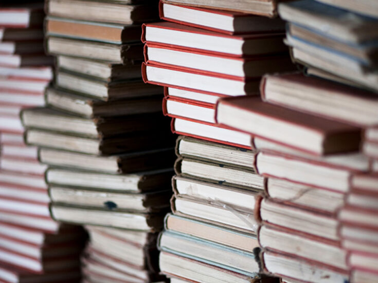 The unbearable weight of the literary canon