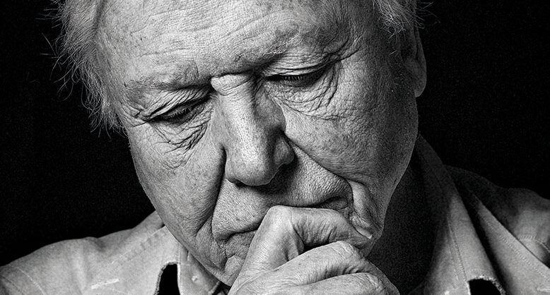 David Attenborough mit 99: „Das Leben wird mit ziemlicher Sicherheit einen ...