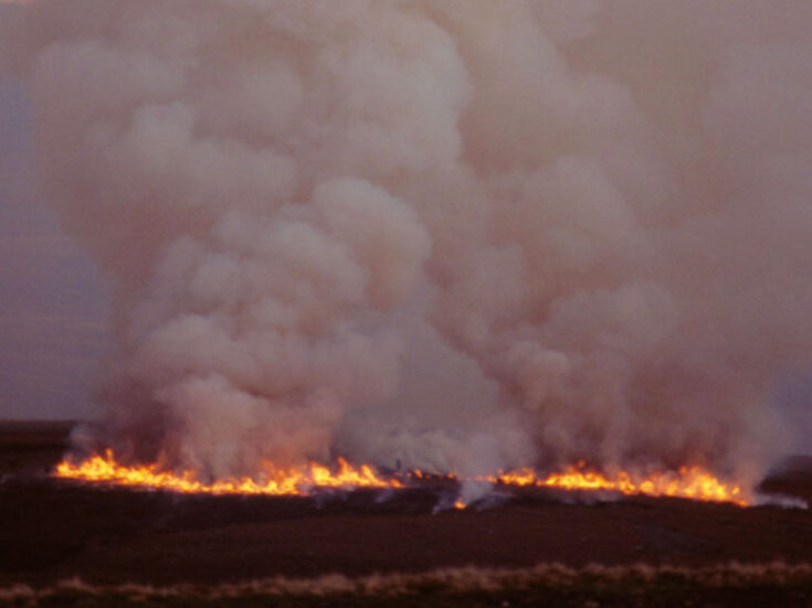 The devastation of spring moor fires