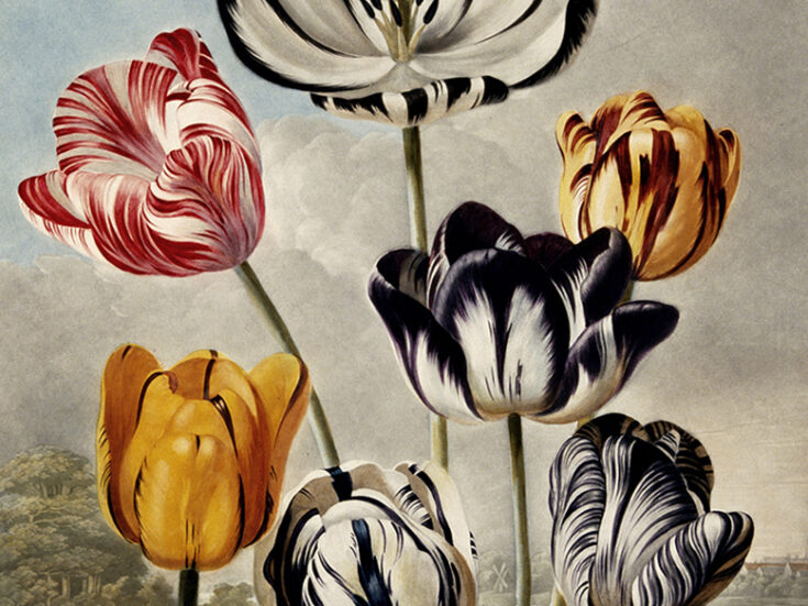 Gardening, grief and memory
