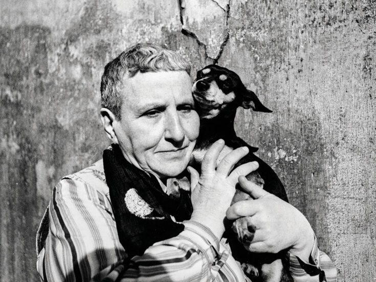 Gertrude Stein’s quest for fame