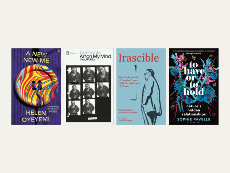 From Helen Oyeyemi to bell hooks: new books reviewed in short