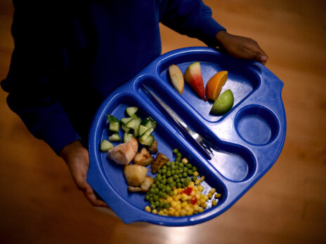 School catering firms make millions while children eat Bad Pie