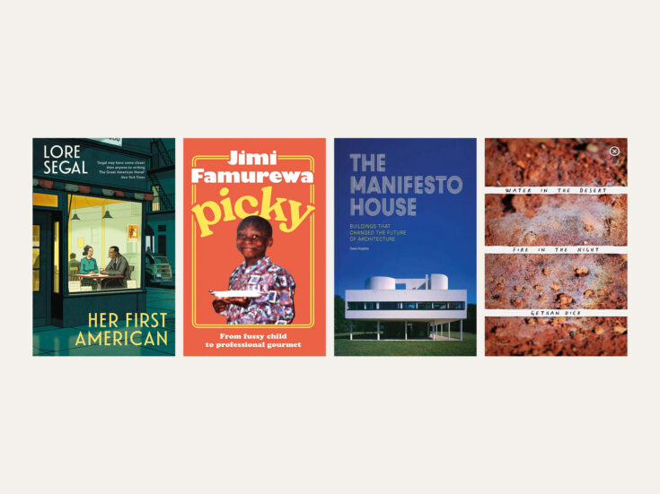 From Lore Segal to Jimi Famurewa: new books reviewed in short