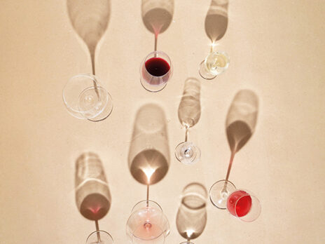 One hundred and one Dalmatian wines